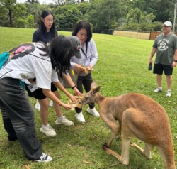 Students Exploring Australia: Lone Pine Sanctuary